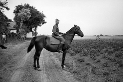 1954, Németh Tamás, ló, lovas, Fortepan #30090