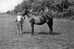 1954, Németh Tamás, portré, ló, férfi, Fortepan #30092