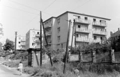 1966, Szalay János, Fortepan #301263
