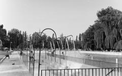 1969, Szalay János, Fortepan #301318