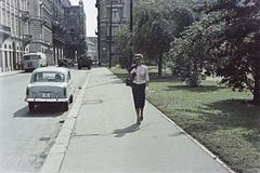 1957, Szalay János, rendszám, Fortepan #301359