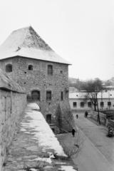 1965, Szalay János, Fortepan #301395