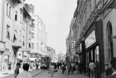 1960, Szalay János, Fortepan #301417