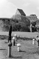 1966, Szalay János, Fortepan #301474