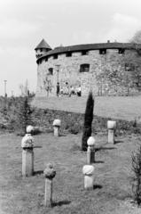 1966, Szalay János, Fortepan #301476