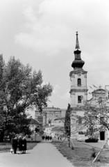 1966, Szalay János, Fortepan #301477