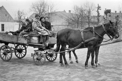 1959, Németh Tamás, ló, nők, lovaskocsi, kocsis, Fortepan #30156