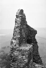 1960, Szalontai Tamás, Fortepan #301756