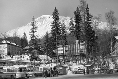 Szlovákia, Ótátrafüred, 1981, Németh Tamás, Csehszlovákia, autóbusz, csehszlovák gyártmány, magyar gyártmány, Skoda-márka, Ikarus-márka, parkoló, Karosa-márka, automobil, Tátra hegység, Ikarus 255, Fortepan #30176