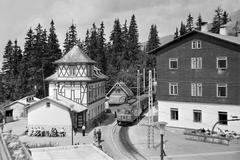 1958, Szalontai Tamás, vasút, fenyőerdő, Fortepan #301764