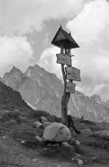 1958, Szalontai Tamás, turistajelzés, Fortepan #301776