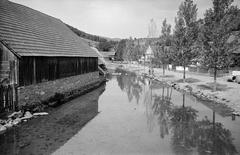 Magyarország, Jósvafő, a Jósva patak., 1961, Szalontai Tamás, tükröződés, vízpart, Fortepan #301802