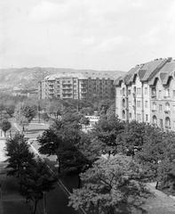 1961, Szalontai Tamás, fasor, bérház, Fortepan #301807