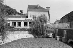 1963, Szalontai Tamás, bisztró, fűzfa, kőhíd, Fortepan #301827