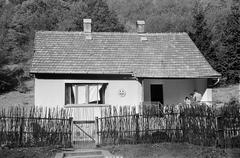 1963, Szalontai Tamás, gallykerítés, Fortepan #301839