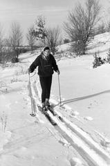 1963, Szalontai Tamás, síelés, Fortepan #301845