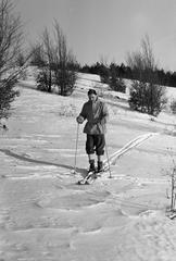 1963, Szalontai Tamás, síelés, Fortepan #301848