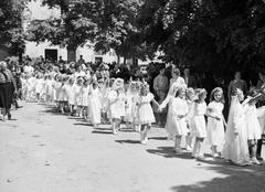 1960, Szalontai Tamás, Fortepan #301928