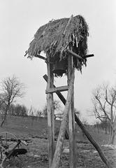 1959, Szalontai Tamás, Fortepan #301935