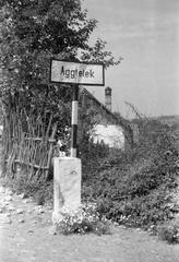 1960, Szalontai Tamás, Fortepan #301960