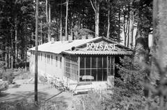 1960, Szalontai Tamás, Fortepan #301969