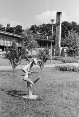1961, Szalontai Tamás, Fortepan #301985