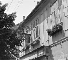 1961, Szalontai Tamás, Fortepan #301990