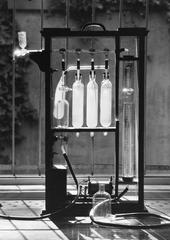 1961, Szalontai Tamás, Fortepan #302012