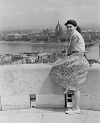 Hungary, Budapest I., látkép a Halászbástyáról a Kossuth híddal és a Parlamenttel., 1956, Németh Tamás, Kossuth-bridge, picture, Imre Steindl-design, parliament, Neo-Gothic-style, Danube, eclectic architecture, Budapest, Fortepan #30205