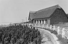 1965, Szalontai Tamás, szőlőtőke, zsúptető, útkorlát, Fortepan #302068