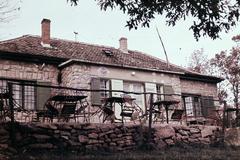 1960, Szalontai Tamás, Fortepan #302136