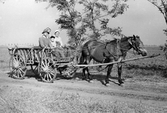 1957, Németh Tamás, szekér, csoportkép, nők, fogat, férfi, kocsis, gyerek, Fortepan #30218