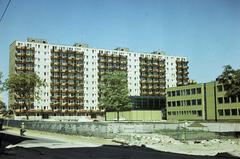 1980, Szomolányi József, Fortepan #302589