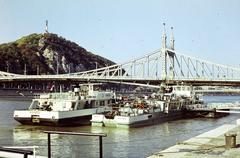 1975, Szomolányi József, Fortepan #302659