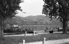 1955, Tarcsa Lajos, Fortepan #303030
