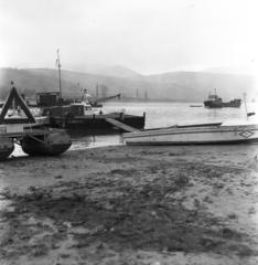 1955, Tarcsa Lajos, Fortepan #303037