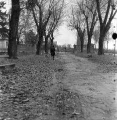 1955, Tarcsa Lajos, Fortepan #303039