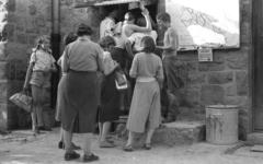 1958, Tarcsa Lajos, Fortepan #303059