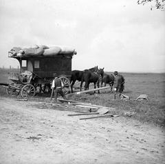 1906, SZTFH Földtani Szolgálatának gyűjteménye, Eötvös Loránd, Fortepan #303162