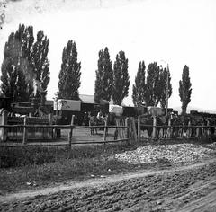 1906, SZTFH Földtani Szolgálatának gyűjteménye, Eötvös Loránd, Fortepan #303232