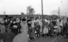 Hungary, Sárbogárd, vasútállomás, frontra induló katonák búcsúztatása., 1941, Székely Márton, railway, rail signal, second World War, Fortepan #30337