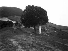 A felvétel 1900 előtt készült. A kép forrását kérjük így adja meg: Fortepan / MMKM. Levéltári jelzet: MMKM TTFGY 2019.1., 1900, Magyar Műszaki és Közlekedési Múzeum / Eötvös Loránd, Eötvös Loránd, Fortepan #303429
