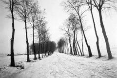 1936, Székely Márton, winter, alley, Fortepan #30349