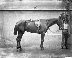 A felvétel 1900 előtt készült. A kép forrását kérjük így adja meg: Fortepan / MMKM. Levéltári jelzet: MMKM TTFGY 2019.1., 1900, Magyar Műszaki és Közlekedési Múzeum / Eötvös Loránd, Eötvös Loránd, Best of, Fortepan #303538