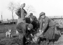 1936, Székely Márton, village, dog, chariot, genre painting, pig slaughter, apron, tradition, Fortepan #30354