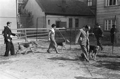 1939, Inkey Tibor, dog show, Fortepan #303677