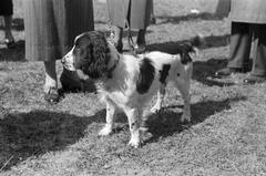 1939, Inkey Tibor, Fortepan #303678