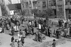 1939, Inkey Tibor, dog show, Fortepan #303690