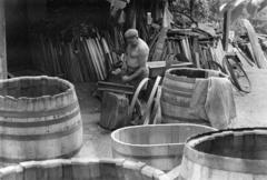 1981, Szebeni András, Fortepan #304004