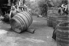 1981, Szebeni András, Fortepan #304006